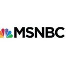 Political Analyst Nicolle Wallace to Host New Weekday Program on MSNBC