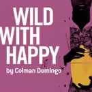 City Theatre to Continue 2016-17 Season with Colman Domingo's WILD WITH HAPPY