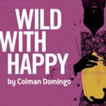 City Theatre to Continue 2016-17 Season with Colman Domingo's WILD WITH HAPPY
