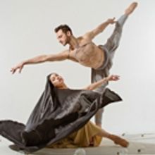 BWW Review: FJK DANCE Celebrates Middle Eastern Culture, A Fusion of Culture and Danc