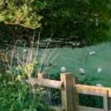 OUTSIDE MULLINGAR Opens at Harbor Arts Center