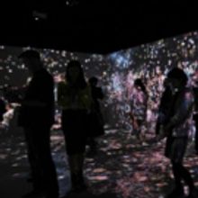 Saatchi Gallery Announces Date Extension for FLUTTER FOR BUTTERFLIES BEYOND BORDERS…