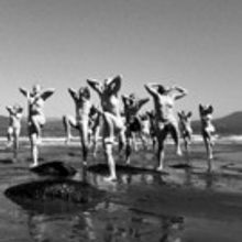 BWW Review: KOKORO Enlightens at Wreck Beach