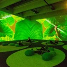 The New Museum to Display Pipilotti Rist Exhibit, 10/26