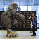 Photo Flash: CIRCUS 1903's Baby Elephant Puppet Stops by Madison Square Garden