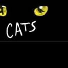 CATS Coming to Adelaide in 2016
