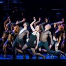 TV: Terra C. MacLeod of CHICAGO National Tour