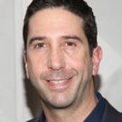 David Schwimmer to Helm PLANTATION! Premiere as Part of Lookingglass Theatre's 30th…