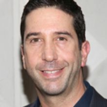 David Schwimmer to Helm PLANTATION! Premiere as Part of Lookingglass Theatre's 30th S
