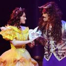 Photo Flash: First Look at Disney's BEAUTY AND THE BEAST at Beef & Boards Dinner…