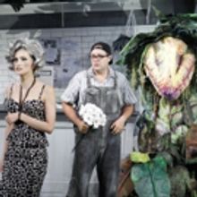 BWW Review: LITTLE SHOP OF HORRORS Is Frightfully Good