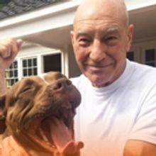 Sir Patrick Stewart Partners with ASPCA for National Dog Fighting Awareness Day…