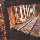 Bush Theatre Announces Casting for WHILE WE'RE HERE