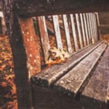 Bush Theatre Announces Casting for WHILE WE'RE HERE