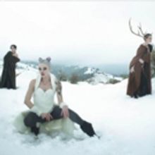 Boise's Treats Photography Announces Nature Conservation Initiative