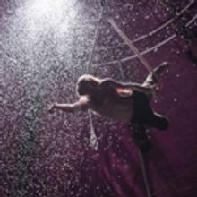BWW Review: BIANCO, Southbank Centre, 29 November 2016