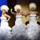 BWW Review: All Hail PRISCILLA QUEEN OF THE DESERT