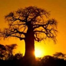 Theatre 167's World Premiere of MOURNING SUN to Host Talkback Series