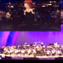 Watch Highlights of Hollywood Bowl's THE LITTLE MERMAID, with Rebel Wilson, Darren…