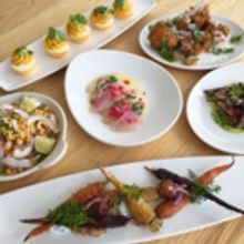 BWW Preview: THE NEW NORM at The Brooklyn Museum is a Restaurant