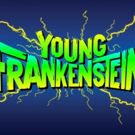 Full Cast Announced for The Muny's YOUNG FRANKENSTEIN, Starring Robert Petkoff, Jen…