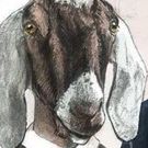 L.I.P. Service Theatre Company's THE GOAT OR WHO IS SYLVIA? to Open 5/26