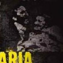 The Black Maria Film Festival Announces  Special Guest Appearance