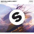 Dutch DJ/Producer Mike Williams Releases 'Dont Hurt' ft. Br?zy