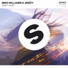Dutch DJ/Producer Mike Williams Releases 'Dont Hurt' ft. Br?zy