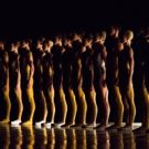 BWW Interview: Houston Ballet First Soloist Jessica Collado and Corps Member Bridget…