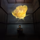 Horse Head Theatre Co. to Present Surreal Drama LIDLESS This June