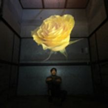 Horse Head Theatre Co. to Present Surreal Drama LIDLESS This June