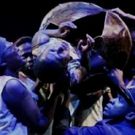 KAROO MOOSE Set to Return to South African Stages at the National Arts Festival and…
