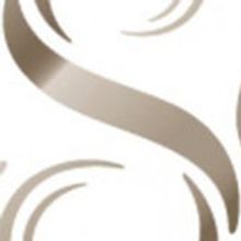 CSO Announces New Musician Appointments