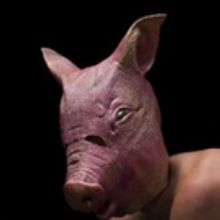 The Living Earth Show to Return to New York City After Three Years