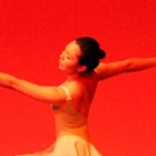 North Shore Civic Ballet to Launch Annual Online Holiday Auction November 20
