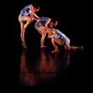 BWW Review: Ohio State Students Showcase Dance Skills in High-Energy DANCE DOWNTOWN…