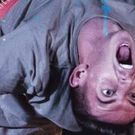 BWW Review: THE GREAT AMERICAN SH*T SHOW at Dark Circles Contemporary Dance