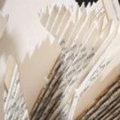 Paper Comes to Life in Kirkland Arts Center's New Exhibition PAPER TRANSLATIONS