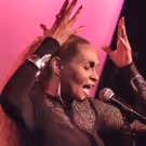 Vivian Reed Releases New Album STANDARDS AND MORE, Slates Fall NYC Return