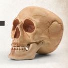 AT&T Performing Arts Center Presents HAMLET Readings This Weekend