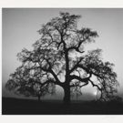 Photo Flash: First Look at Nassau County Museum of Arts' New Photo Exhibit
