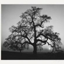 Photo Flash: First Look at Nassau County Museum of Arts' New Photo Exhibit
