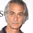 David Strathairn to Star in Staged Readings of 'MY REPORT TO THE WORLD'