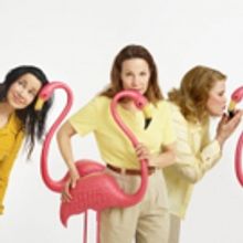 Photo Flash: Sneak Peek - Janeane Garofalo, Lili Taylor and Celia Weston Get Cozy wit