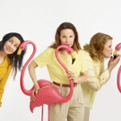 Photo Flash: Sneak Peek - Janeane Garofalo, Lili Taylor and Celia Weston Get Cozy with Flamingos for MARVIN'S ROOM on Broadway