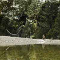 VIDEO: Official Trailer for Disney's PETE'S DRAGON Has Arrived Video
