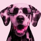 BWW REVIEW: THE LITTLE DOG LAUGHED Is A Hollywood Fairy Tale Looking At The Choices…