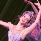 BWW Review: Nashville Ballet's Colorful and Resplendent NASHVILLE'S NUTCRACKER