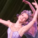BWW Review: Nashville Ballet's Colorful and Resplendent NASHVILLE'S NUTCRACKER